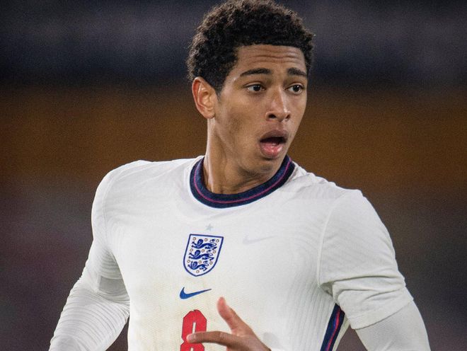 术多样性 术多样性